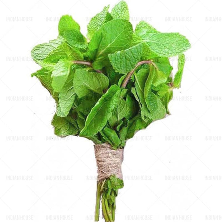 Fresh Mint