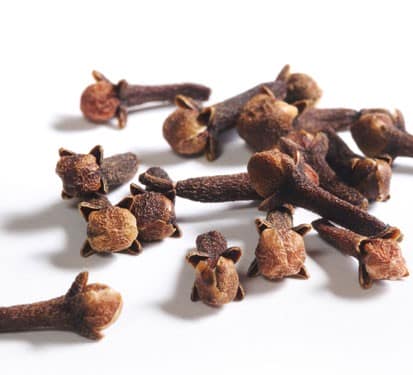 Rk Cloves (100)