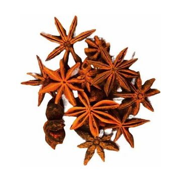Chakra Star Anised