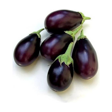 Fresh Brinjal